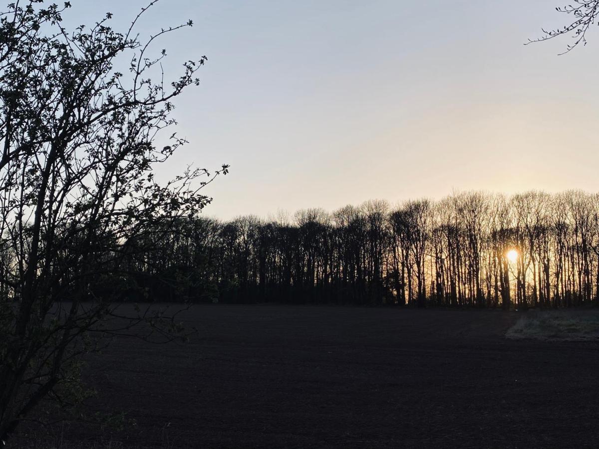 Wildes Inns Chesterfield Eksteriør billede